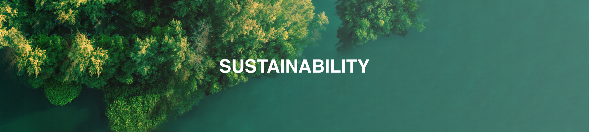 Sustainability header and title